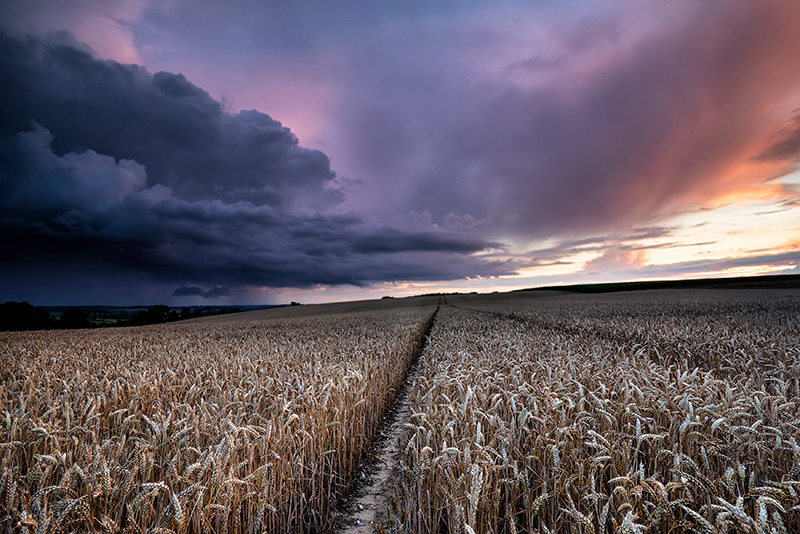 Sturm über einem Feld